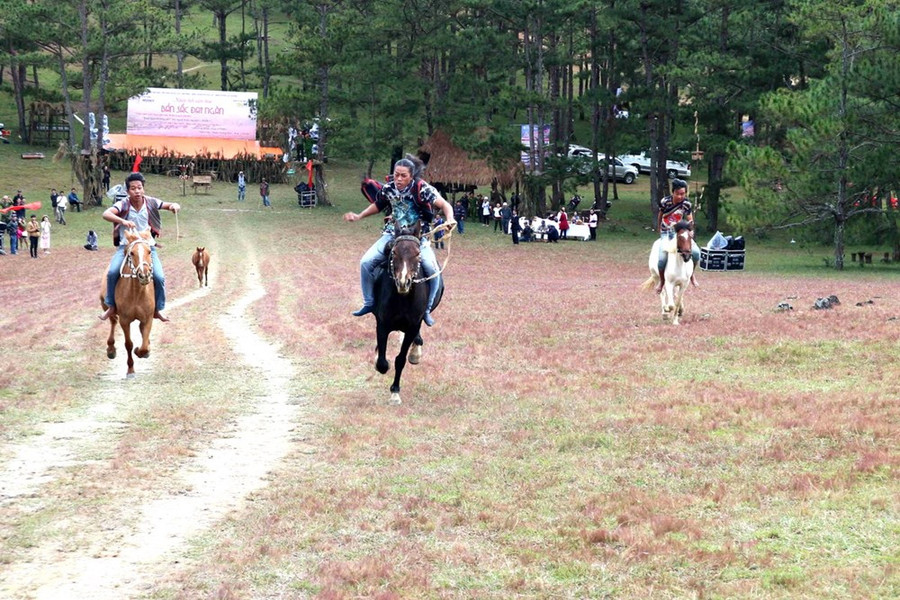 Các kỵ mã tranh tài quyết liệt trong vòng đua chung kết. Các kỵ mã tranh tài quyết liệt trong vòng đua chung kết.