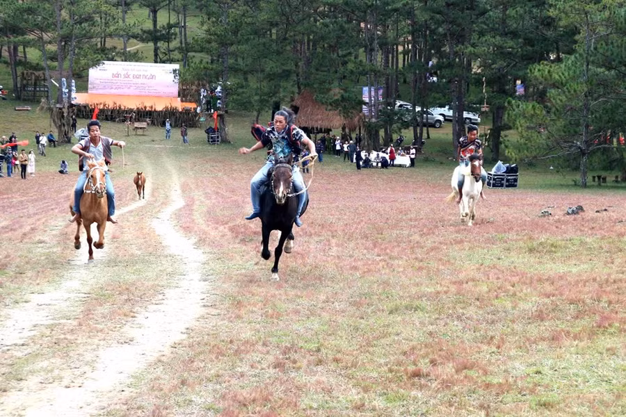 Các kỵ mã tranh tài quyết liệt trong vòng đua chung kết. 