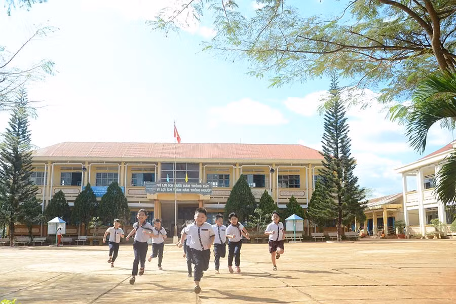 Xây dựng vườn thuốc nam trong trường học giúp các em có thêm kiến thức đông y và bảo vệ sức khỏe của chính mình. Ảnh: Ngọc Thu