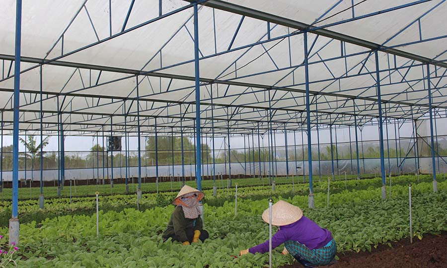 Ảnh: Nguyễn Diệp