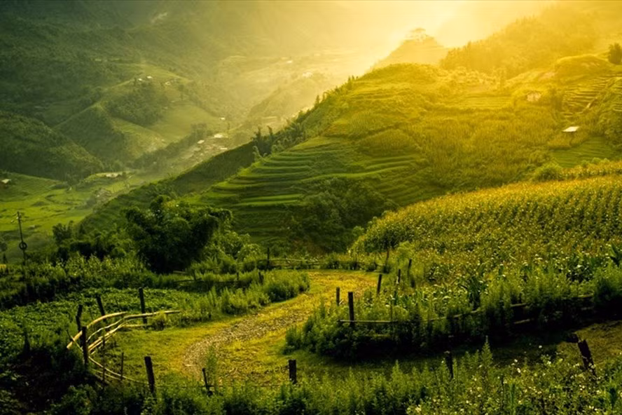 Vẻ đẹp của Sa Pa trong sương mờ.