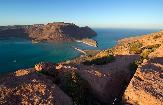  Ảnh: Mark D.Callannan/Getty Images