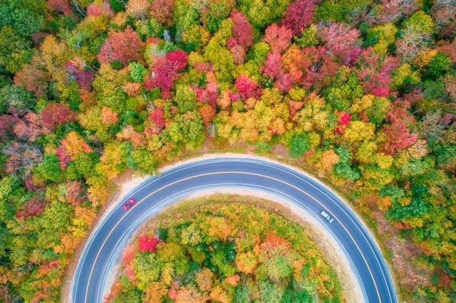 Cung đường dọc xa lộ Kancamagus ở tiểu bang New Hampshire, Mỹ. (Nguồn: National Geographic)