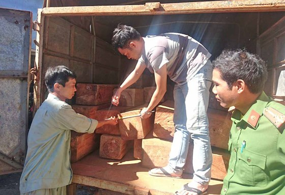 Số gỗ tang vật đang bị tạm giữ tại Công an huyện Bảo Lâm.
