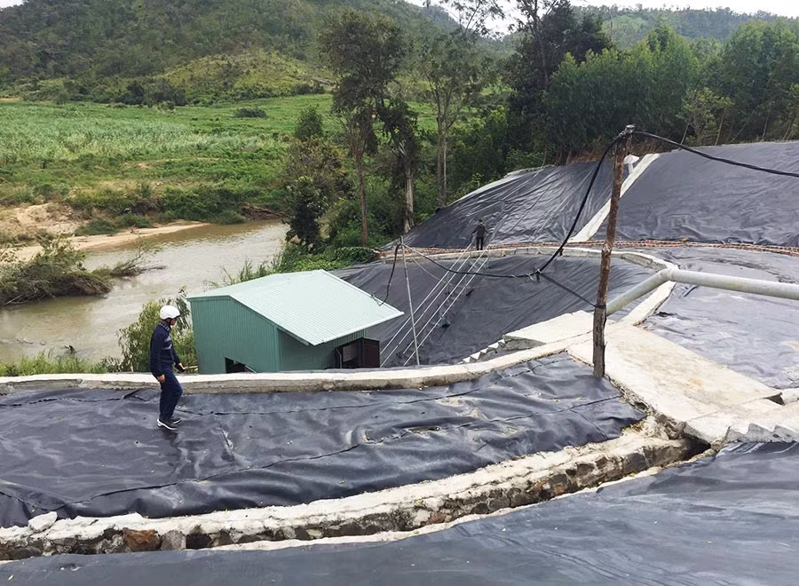  Khu vực nhà máy xả thải trực tiếp ra suối Pờ Yầu. Ảnh: Văn Ngọc