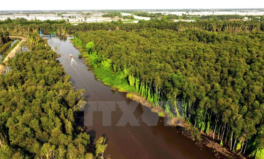 Khu du lịch làng nổi Tân Lập gồm: rừng tràm, sen, súng, lục bình…