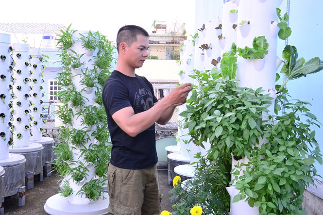 Anh Sơn với mô hình trồng rau khí canh trên sân thượng nhà mình.