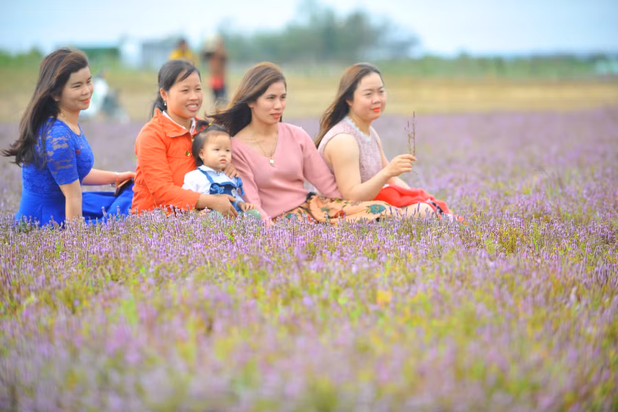 Màu sắc khác lạ của loài hoa dại mê đắm sự hiếu kỳ các bạn trẻ
