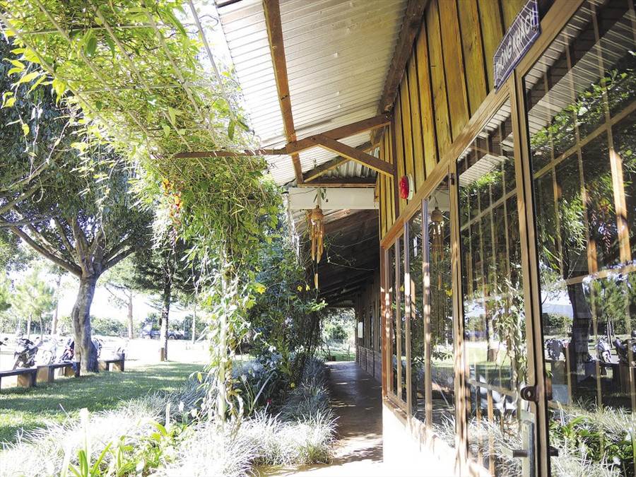 Bảo tàng cấp xóm giản dị giữa rừng thông bạt ngàn. Bảo tàng cấp xóm giản dị giữa rừng thông bạt ngàn.