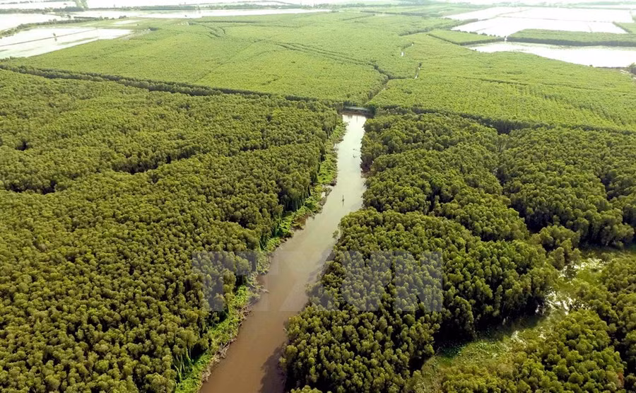  Khu du lịch làng nổi Tân Lập, huyện Mộc Hóa, tỉnh Long An, là một vùng đất ngập nước hoang sơ, có diện tích hàng trăm ha với những thắng cảnh thiên nhiên đa dạng, phong phú của vùng Đồng Tháp Mười.