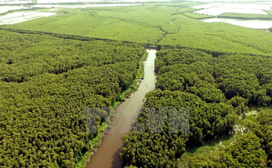  Khu du lịch làng nổi Tân Lập, huyện Mộc Hóa, tỉnh Long An, là một vùng đất ngập nước hoang sơ, có diện tích hàng trăm ha với những thắng cảnh thiên nhiên đa dạng, phong phú của vùng Đồng Tháp Mười.