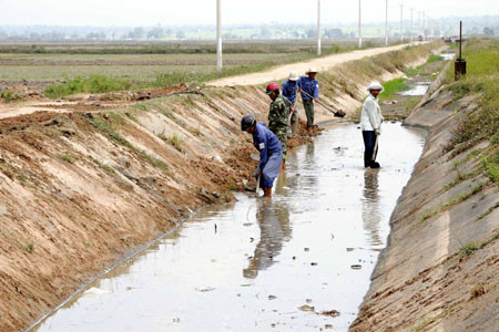 Ảnh minh họa (nguồn: internet)