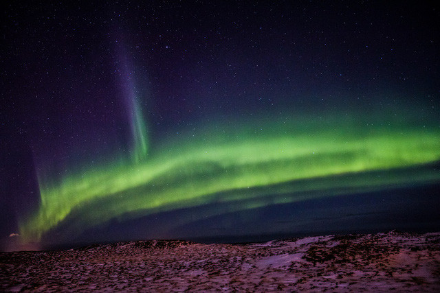 Chiêm ngưỡng cực quang là phần nội dung đặc biệt hấp dẫn trong chuyến đi khám phá Bắc Cực. Iceland là một trong những địa điểm lý tưởng để ngắm cực quang