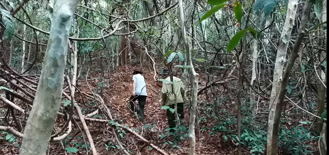 Đường vào bãi thú Ya Book Đường vào bãi thú Ya Book