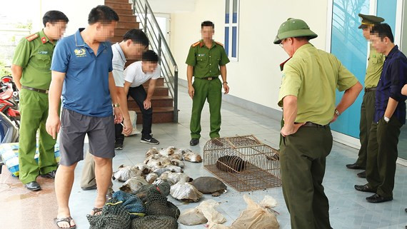 Số động vật hoang dã bị bắt giữ Số động vật hoang dã bị bắt giữ