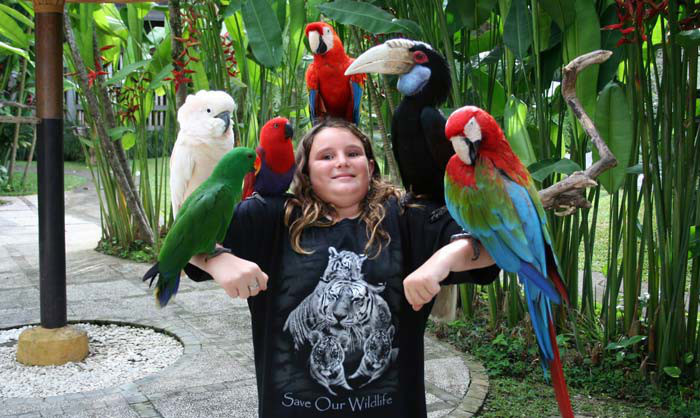 1 Công viên chim Taman Burung Bali rộng 2 hecta với khoảng 250 loài chim bản địa ở Indonesia, Nam Mỹ và châu Phi - Ảnh: Bali