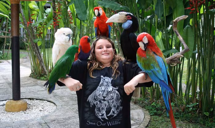 1 Công viên chim Taman Burung Bali rộng 2 hecta với khoảng 250 loài chim bản địa ở Indonesia, Nam Mỹ và châu Phi - Ảnh: Bali