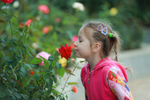 …đắm mình giữa hàng nghìn kỳ hoa dị thảo tại Đồi Vạn Hoa... …đắm mình giữa hàng nghìn kỳ hoa dị thảo tại Đồi Vạn Hoa...