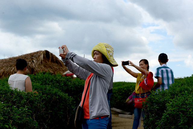 Du khách từ nhiều nơi đổ về đồi chè chụp hình 