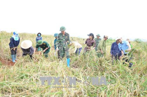 Bên cạnh nhiệm vụ bảo vệ an ninh quốc phòng khu vực biên giới, Công ty 75 (Binh đoàn 15) đóng quân trên địa bàn huyện Đức Cơ, tỉnh Gia Lai còn giúp nhiều hộ dân xóa đói, giảm nghèo, ổn định đời sống. Ảnh: Hồng Điệp/TTXVN Bên cạnh nhiệm vụ bảo vệ an ninh quốc phòng khu vực biên giới, Công ty 75 (Binh đoàn 15) đóng quân trên địa bàn huyện Đức Cơ, tỉnh Gia Lai còn giúp nhiều hộ dân xóa đói, giảm nghèo, ổn định đời sống. Ảnh: Hồng Điệp/TTXVN
