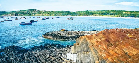 Gành Đá Đĩa đẹp độc đáo bên bờ biển Phú Yên.