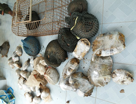 Số động vật hoang dã bị bắt giữ Số động vật hoang dã bị bắt giữ