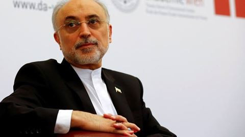 Ông Ali Akbar Salehi phó tổng thống Iran, giám đốc cơ quan Năng lượng Nguyên tử
