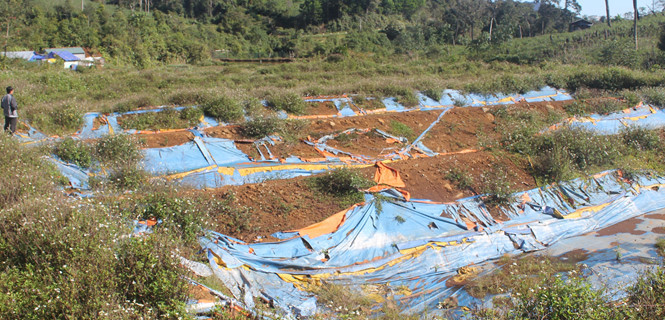 Hồ nuôi cá tầm bỏ hoang