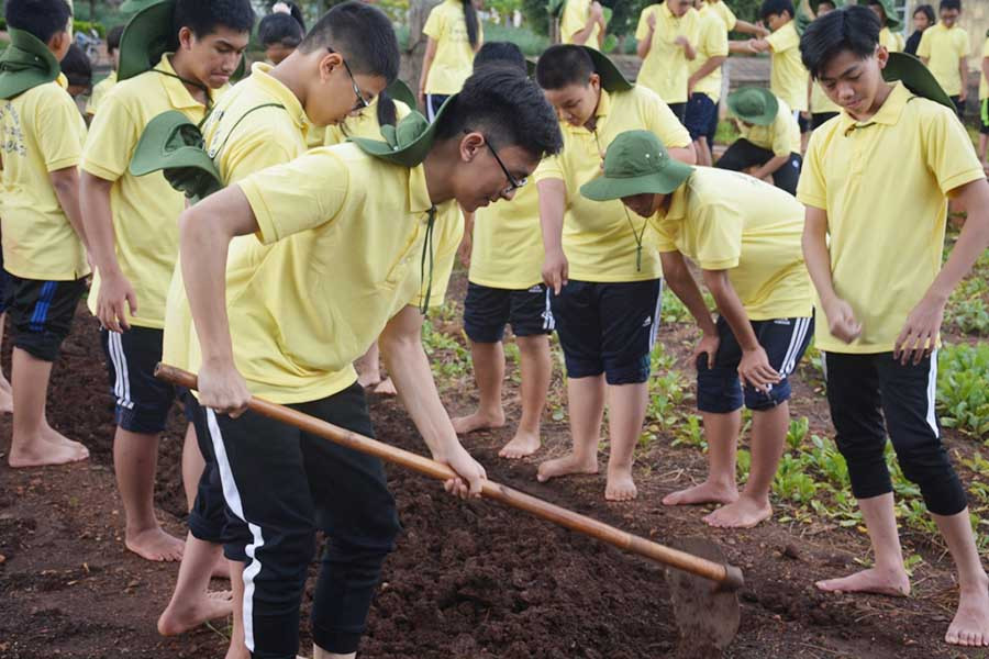 Tham gia tăng gia sản xuất.