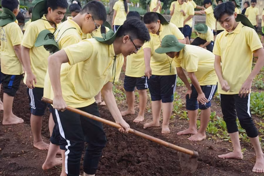 Tham gia tăng gia sản xuất.