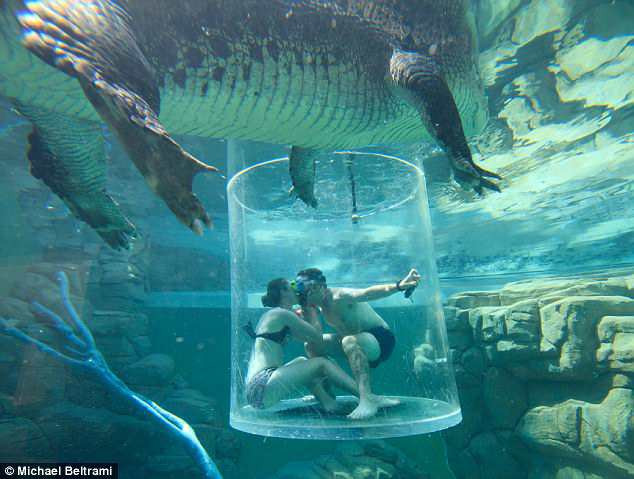 Khung cảnh cầu hôn đầy khác biệt của cặp đôi