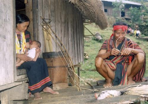 Người vợ Ca Dong mượn làn điệu plét khá độc đáo để bày tỏ lòng mình với người chồng. Người vợ Ca Dong mượn làn điệu plét khá độc đáo để bày tỏ lòng mình với người chồng.
