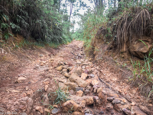 Do đường khó đi nên theo Đức, những ai yếu tay không nên di chuyển bằng xe máy vào đây. Ngoài ra không nên mặc quần ngắn, quần vải vì đường rừng có rất nhiều gai. Để đảm bảo an toàn, mọi người nên đeo găng tay và mang theo các dụng cụ bảo hộ.  Do đường khó đi nên theo Đức, những ai yếu tay không nên di chuyển bằng xe máy vào đây. Ngoài ra không nên mặc quần ngắn, quần vải vì đường rừng có rất nhiều gai. Để đảm bảo an toàn, mọi người nên đeo găng tay và mang theo các dụng cụ bảo hộ.