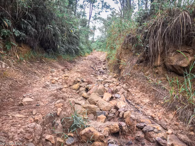Do đường khó đi nên theo Đức, những ai yếu tay không nên di chuyển bằng xe máy vào đây. Ngoài ra không nên mặc quần ngắn, quần vải vì đường rừng có rất nhiều gai. Để đảm bảo an toàn, mọi người nên đeo găng tay và mang theo các dụng cụ bảo hộ. Do đường khó đi nên theo Đức, những ai yếu tay không nên di chuyển bằng xe máy vào đây. Ngoài ra không nên mặc quần ngắn, quần vải vì đường rừng có rất nhiều gai. Để đảm bảo an toàn, mọi người nên đeo găng tay và mang theo các dụng cụ bảo hộ.