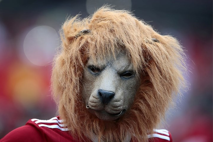 Sư tử Atlas, biệt danh của Morocco.