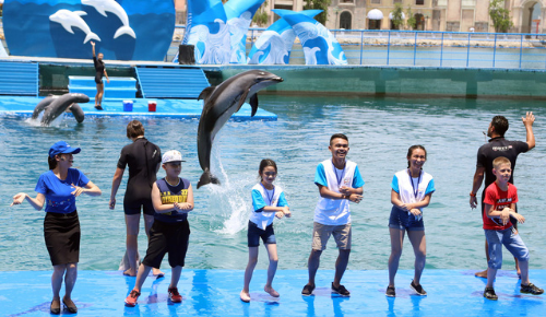 Các bạn nhỏ náo nức với hành trình khám phá thủy cung, nô đùa cùng cá heo...  Các bạn nhỏ náo nức với hành trình khám phá thủy cung, nô đùa cùng cá heo...