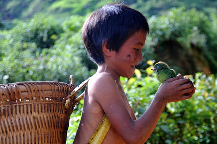 Ngày hè với bé Giàng A Tủa, ở xã Pa Vây Sử, huyện Phong Thổ đã có bạn chim nhỏ cùng chơi.