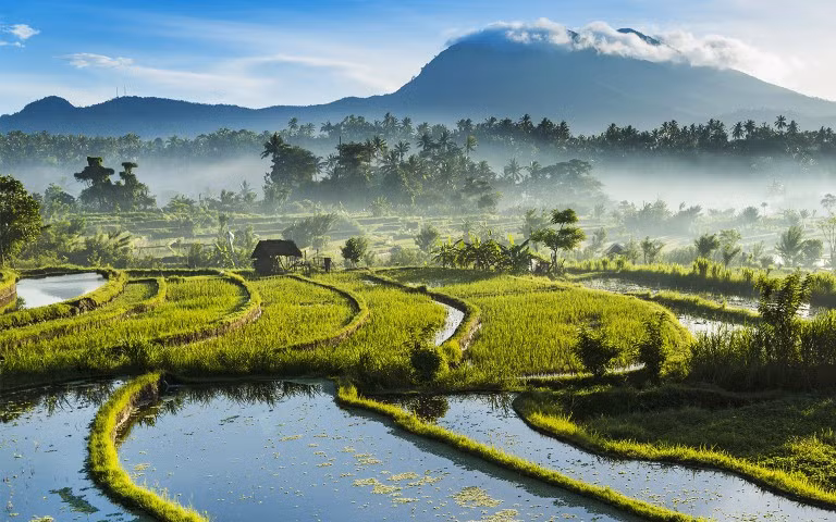 Khi lên kế hoạch cho chuyến đi qua các địa điểm du lịch hàng đầu của Đông Nam Á, bạn chủ yếu cần mang quần áo màu sáng, thoáng mát - Ảnh: travelzoo