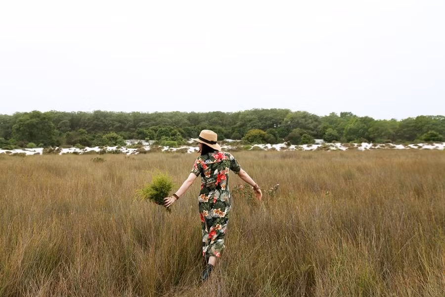  Ảnh: Nguyễn Mạnh Hùng.