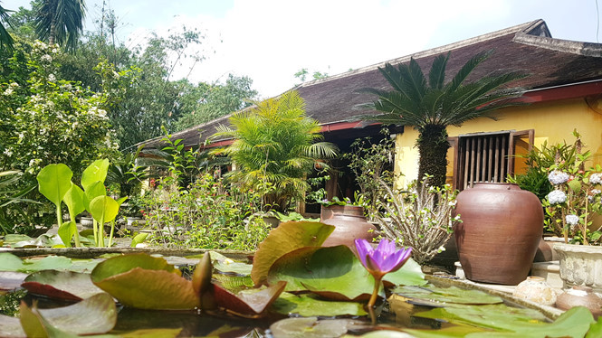 Hoa lá cây cảnh được người dân tô điểm bên những ngôi nhà cổ Hoa lá cây cảnh được người dân tô điểm bên những ngôi nhà cổ