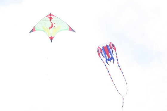  Những con diều rực rỡ màu sắc bay trên bầu trời 