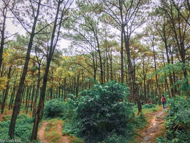 Đây là điểm du lịch còn khá mới mẻ nên xung quanh khu vực này không có hàng quán, nhà nghỉ hay các dịch vụ phục vụ du khách. Chính vì thế, nếu muốn lưu lại đây lâu, mọi người nên chủ động chuẩn bị đồ ăn, lều trại trước khi lên đường. Đây là điểm du lịch còn khá mới mẻ nên xung quanh khu vực này không có hàng quán, nhà nghỉ hay các dịch vụ phục vụ du khách. Chính vì thế, nếu muốn lưu lại đây lâu, mọi người nên chủ động chuẩn bị đồ ăn, lều trại trước khi lên đường.