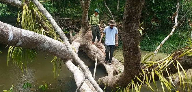 Băng rừng, lội suối vào bãi thú Ya Book Băng rừng, lội suối vào bãi thú Ya Book