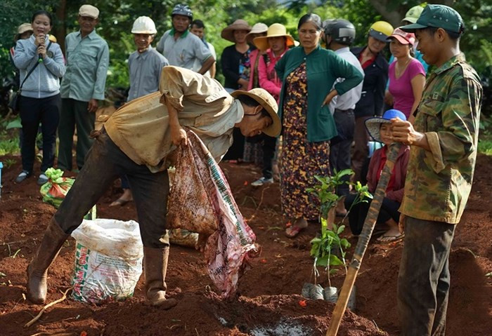  Tập huấn tái canh cà phê