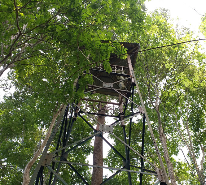 Trạm đặt máy quay quan sát thú về đồng cỏ đã bị hư Trạm đặt máy quay quan sát thú về đồng cỏ đã bị hư