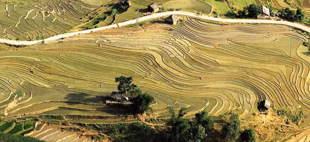 Ruộng bậc thang. Ruộng bậc thang.