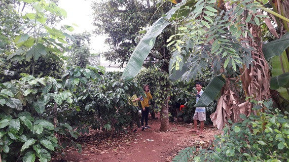 Hiện trường nơi xảy ra vụ việc. Hiện trường nơi xảy ra vụ việc.