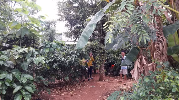 Hiện trường nơi xảy ra vụ việc.