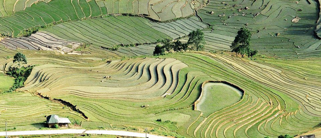 Một góc A lù – Y tý  Một góc A lù – Y tý