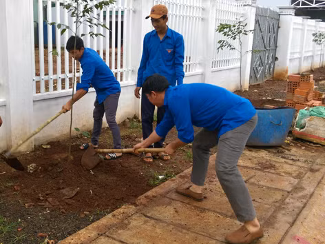 Các đoàn viên thanh niên tham gia trồng cây. Ảnh: N.S